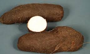 ANNIE WATER YAM MED